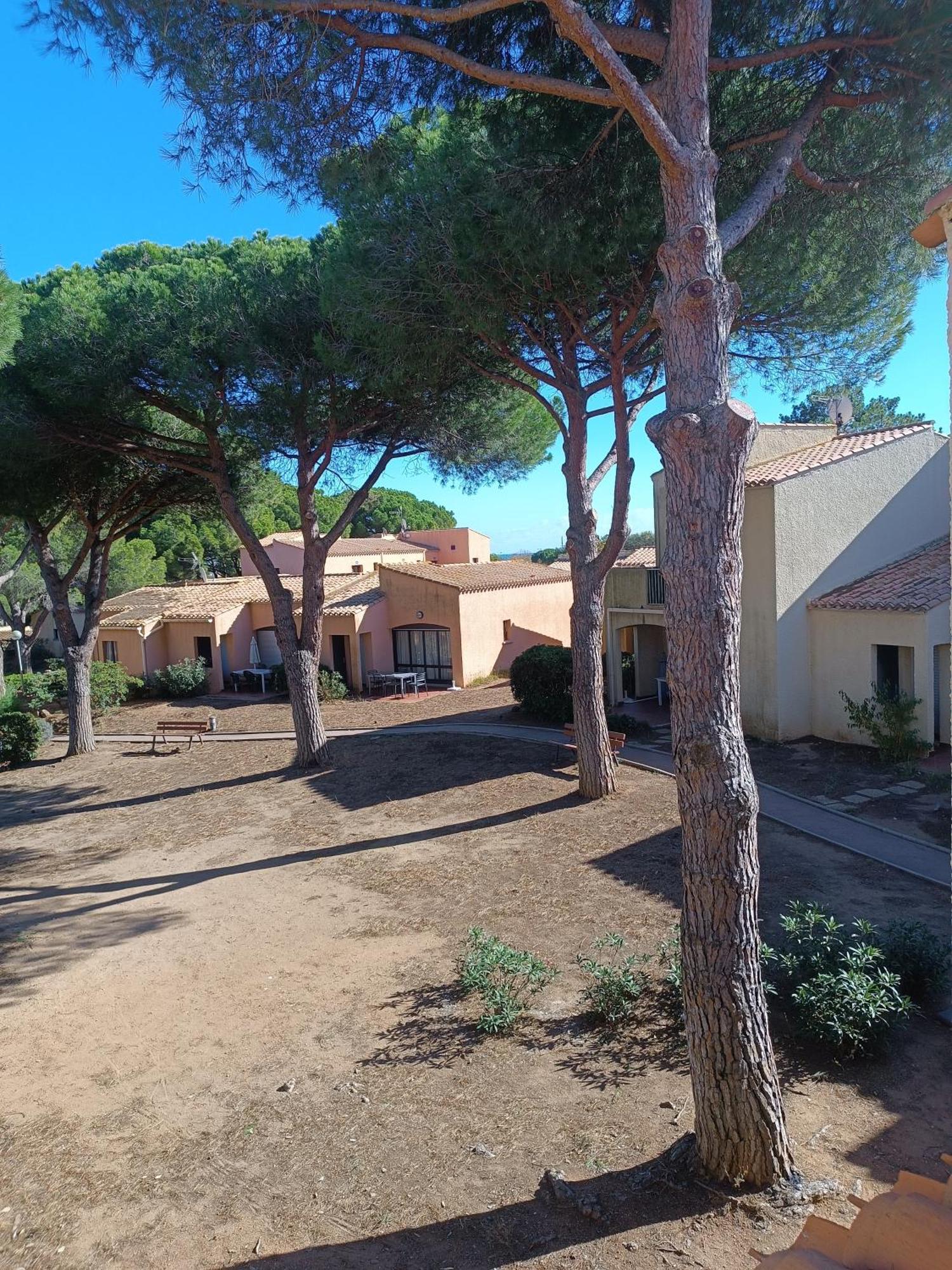 Studio Renove Dans Residence De Vacances Avec Grande Piscine Chauffee, Parking Et Terrasse Agde Buitenkant foto